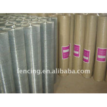 Welded Rolled wire mesh (10 years' factory)